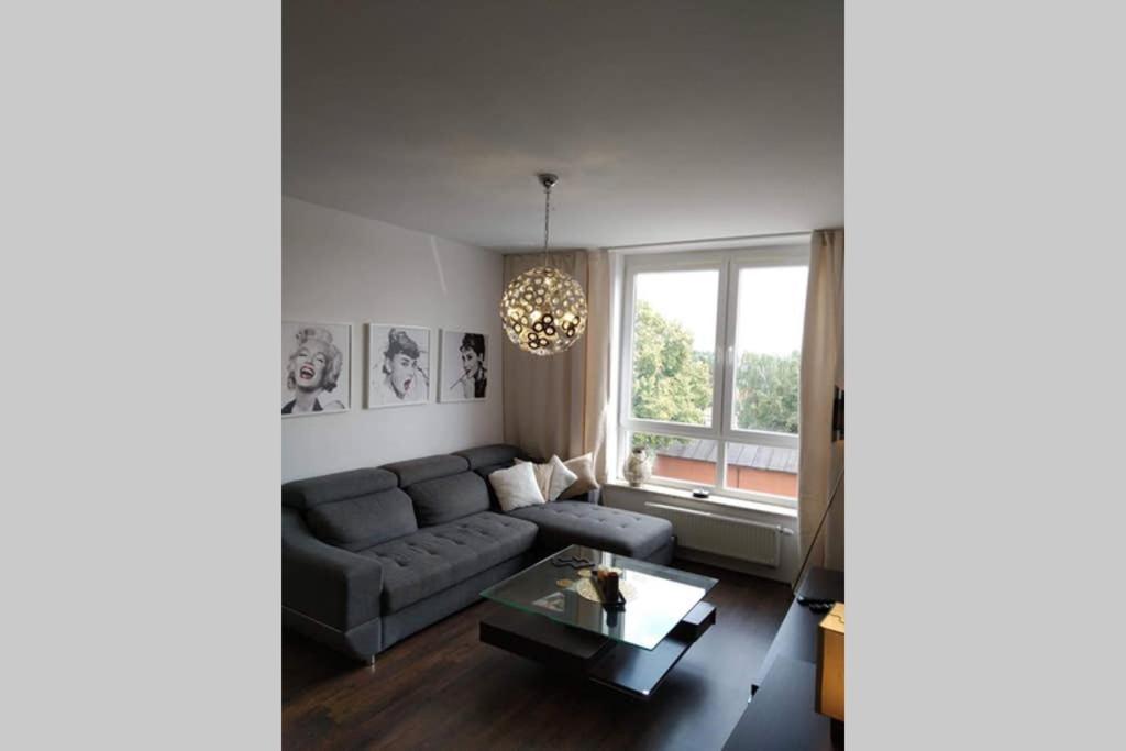 Sunny Penthouse With Roof Gardens Overlooking The Warsaw Palace Of Culture بروشكوف المظهر الخارجي الصورة